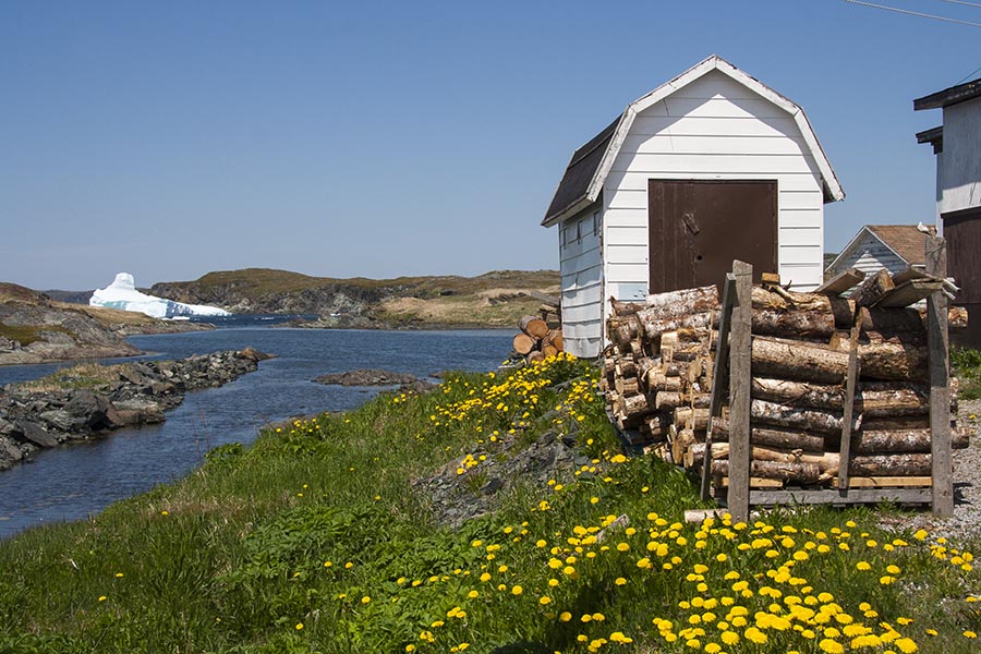 End of the Road in Goose Cove